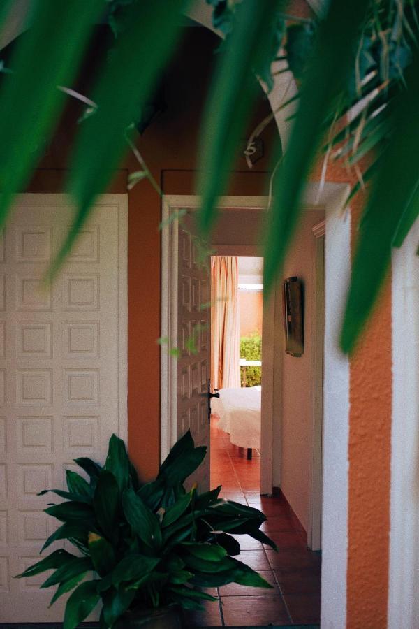 Hotel Madreselva - Grupo Califa ลอสกาญอสเดเมกา ภายนอก รูปภาพ